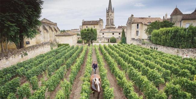 Clos Bernon Libourne Esterno foto